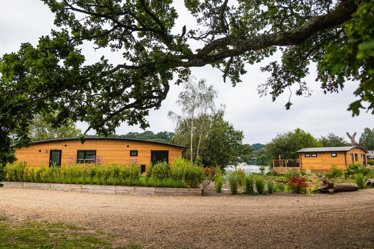 Sumners Ponds Fishery & Campsite Hotell Horsham Eksteriør bilde