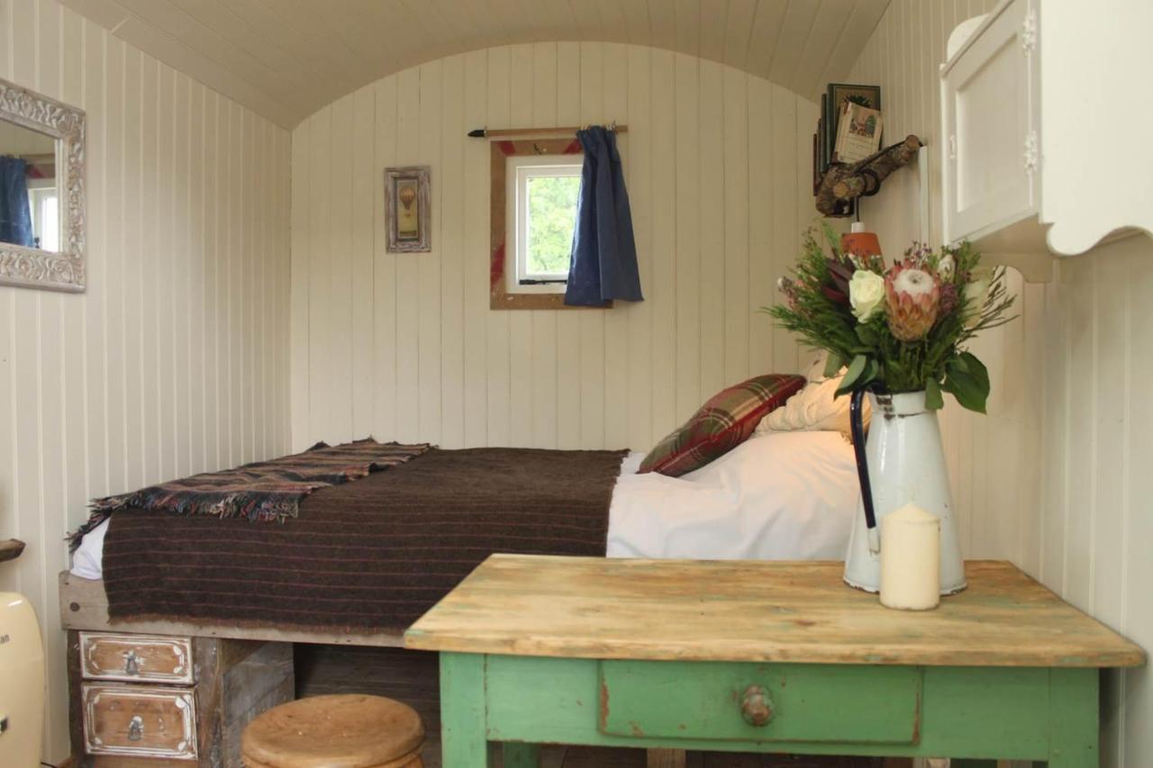 Sumners Ponds Fishery & Campsite Hotell Horsham Eksteriør bilde